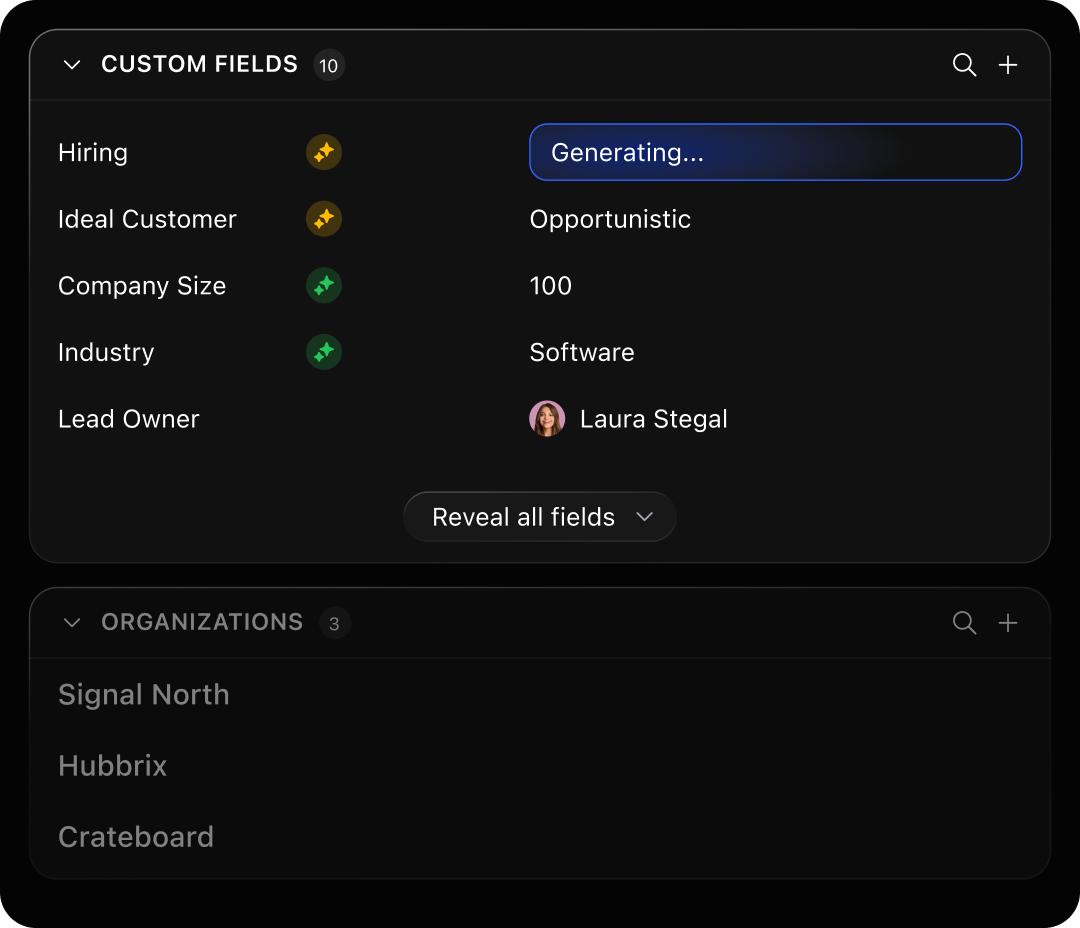 Dashboard showing custom fields with values like Hiring, Ideal Customer, Company Size, Industry, and Lead Owner.